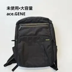 【美品】エースジーン ビジネスリュック バックパック軽量 A4 PC対応 黒のサムネイル