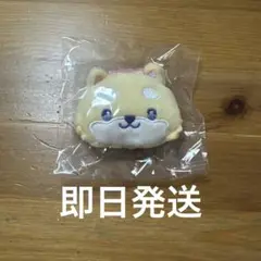 まめちぃ　ブローチ　jochum ジェオチャム