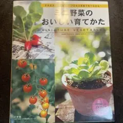 Item thumbnail for item 066b46d4-a672-4dec-825d-2d76768a65a7