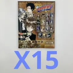 家庭教師ヒットマンREBORN ステータスカードコレクション 新品未開封