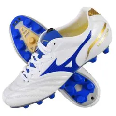 廃盤モデル　MIZUNO モナルシーダJAPAN