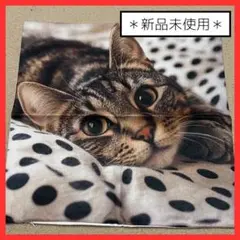 Item thumbnail for item 70ddb0eb-b3eb-4dea-a967-c12f607fa0bc