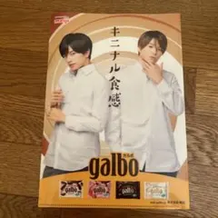 meiji galbo クリアファイル3枚セット