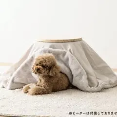 2026年最新】こたつセットの人気アイテム - メルカリ