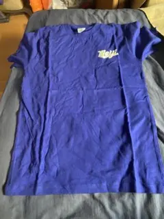 Item thumbnail for item a4488a8a-ae8f-4e34-9662-7fc64561a8e4