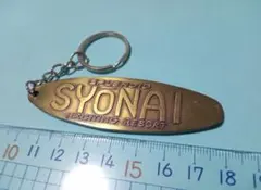 Item thumbnail for item 3e2b0ff9-09af-4adf-a758-4b004dbc9008