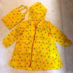 Item thumbnail for item 5353dfaa-62ee-4ad9-90d4-cd42b277bfbd