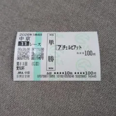ブエナビスタ 現地 単勝馬券 2009 第34回 エリザベス女王杯 - メルカリ