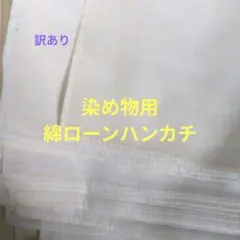 Item thumbnail for item 9c092da5-e424-4d8b-a8b4-6ac73aade818