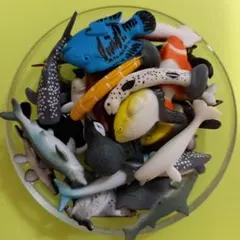 Item thumbnail for item 264b0d13-90f9-4817-976e-71cc72bc63a5