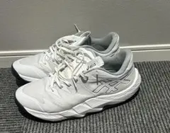 アンプレ アルス ロー2