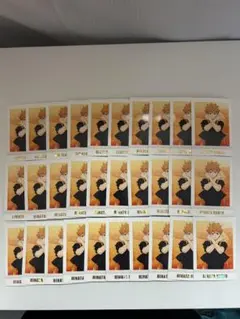 日向翔陽 パシャこれ 応援団