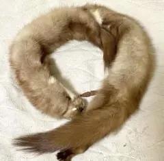 Item thumbnail for item 15927182-8b18-4149-a769-3906e26e2751