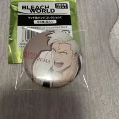 BLEACH WORLD マット缶バッジ 砕蜂 - メルカリ