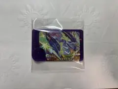 ポケモンフレンダ ミライドン ★5