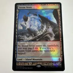 蒸気孔/Steam Vents  UNFーBFボーダーレス英語 MTG 蒸気孔/Steam Vents 英語 2枚 UNF-BF ボーダーレス - メルカリ
