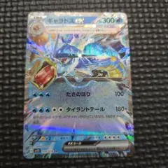 2026年最新】ギャラドスEXの人気アイテム - メルカリ