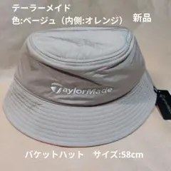 Item thumbnail for item 37e00635-e1cf-4d5e-bcfc-0141c3fc04ac