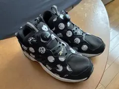 Reebok INSTAPUMP FURY ROAD 25.0cm