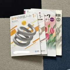 iワーク 中1 数学 ドリル　中学一年　中学1年生 啓林館　未来へひろがる数学1