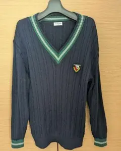 Munsingwear マンシングウェア　 Vネックニット 170センチ（美品）