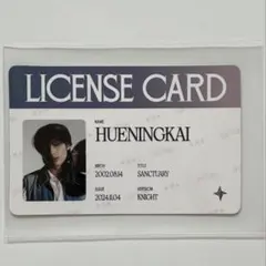 txt ヒュニンカイ ライセンスカード SANCTUARY