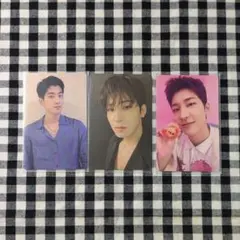 SEVENTEEN ウォヌ まとめ売り ⑬