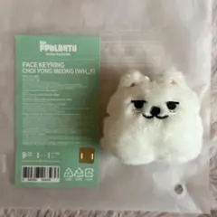 TXT PPULBATU キーリング チェヨンモン - メルカリ