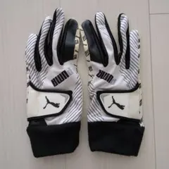 Item thumbnail for item 6ada4915-e80d-45bb-9c57-7458b71e70df