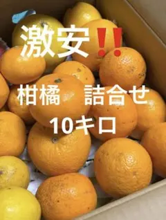 65訳あり‼️激安‼️柑橘　デコポン　はっさく　カラマンダリン　他10キロのサムネイル