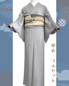 単衣＊お召し 小紋 縞 幾何学模様 普段着物 グレー 正絹 街着に＊3KH12 着物 お召 夏お召 正絹 幾何学模様風 小紋 紬 色無地 着付け 帯 銀糸