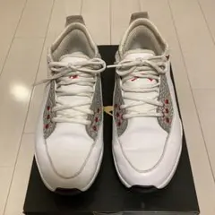 ナイキ　ジョーダン ゴルフシューズ ADG2 US7.5 25.5㎝