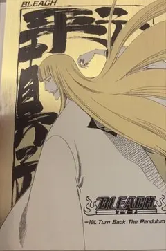 2026年最新】bleach ポストカード 平子の人気アイテム - メルカリ