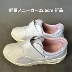 Item thumbnail for item 634f56cd-67d5-459d-b519-0f8c65a36163