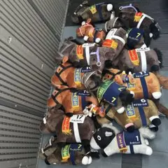 馬のぬいぐるみ サラブレッドコレクション 17頭セット まとめ売り セット売り