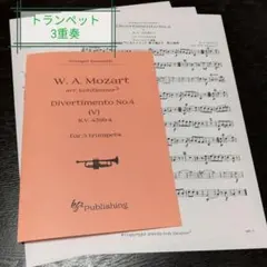 Item thumbnail for item 1b659577-952a-4f5b-ac16-9ca06ff5b26f