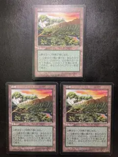 マジック：ザ・ギャザリング 山チャレンジ　 山8枚セット 2026年最新】mtg 山 チャレンジの人気アイテム - メルカリ