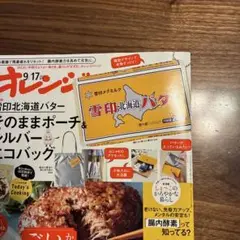 値下げ★雪印北海道バターそのままポーチ＆シルバーエコバッグ オレンジページ 付録