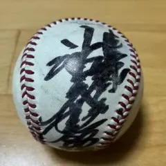 横浜DeNAベイスターズ 金城 龍彦選手直筆サインボール - メルカリ
