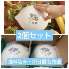 ドラえもん畑のレストラン どんぶり2個セット/大長編ドラえもん/郵便局