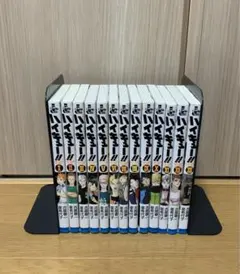 ハイキュー!! ショーセツバン!! 全13巻+7冊・チームブック1-3冊 特典
