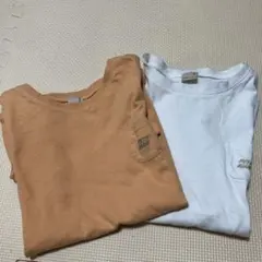 Item thumbnail for item 425626b2-c3a9-4f92-a7d3-b93a496f7f8e