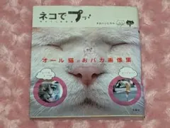 ネコでプッ！面白ネコ画像集 タカハシヒカル 宝島社