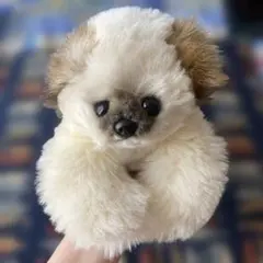 最終価格‼︎ 吉徳 犬 ぬいぐるみ 犬のぬいぐるみ 寝そべり犬 2個