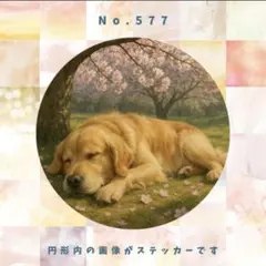 こなつ様 リクエスト 2点 まとめ商品