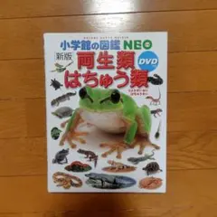 小学館の図鑑 NEO 新版 両生類・はちゅう類 DVD付き