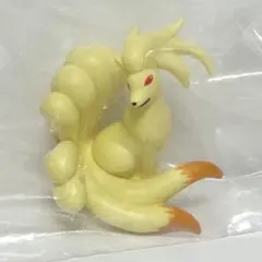 몽콜 박스 Vol.5 큐콘 포켓몬 포켓몬