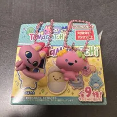 2個セット　たまごっち　チョコボックス　みゃおっち　ふらわっち