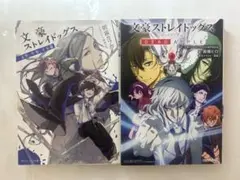 文豪ストレイドッグス DEAD APPLE 2冊セット