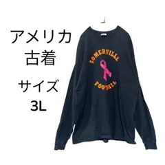 アメリカ 古着 USA 長袖 Tシャツ ロンT サイズ 3L ネイビー